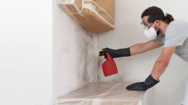 Professional Bathroom Mold Removal technician working in Stevensville, MD
